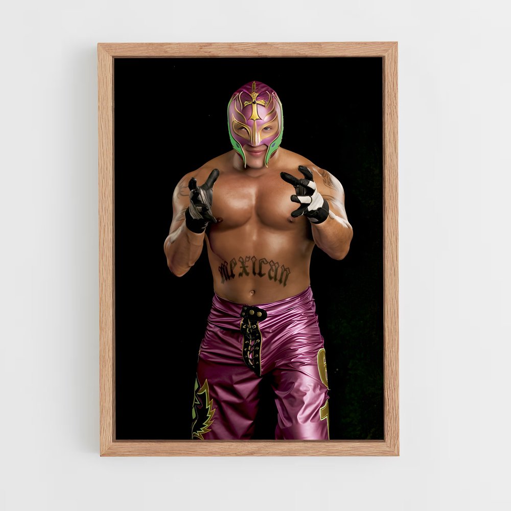 Poster Luchador Mystique (vue 4)